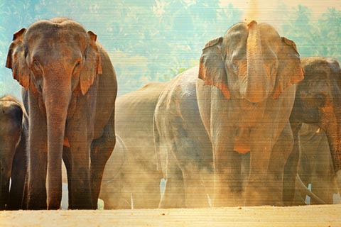 Check the Top 6 luxury Hotels in the World